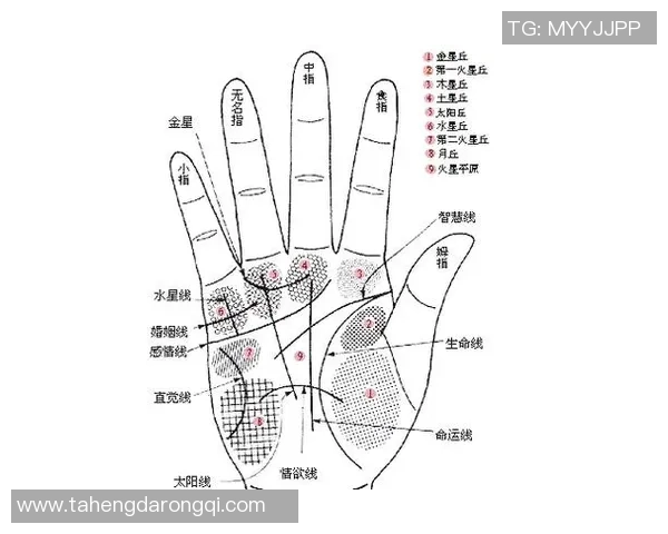 足球明星手相揭秘男性球员掌纹分析与性格特征探讨